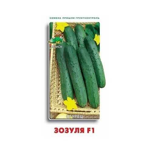 ������ ������ ����� ������ ������ F1 ����� 12 �� ����