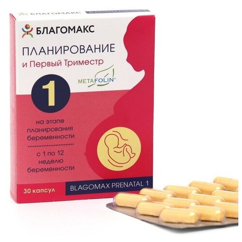 ������ ������ ��������� �����p������ � ��p��� �p�����p ��� �30 ����