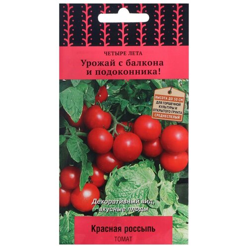 ������ ������ ������ ����� ������ ���� ����� ������� ������� 5 ��. ����