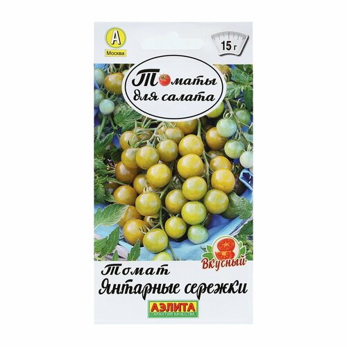 ������ ������ ������ ����� �������� ������� ����� 20�� ����� ������ (������) ����