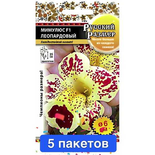 ������ ������ ������ ������ ������� ������ 