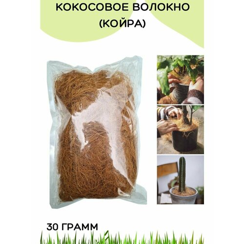 ������ ������ ��������� ������� - �������� 100% ����