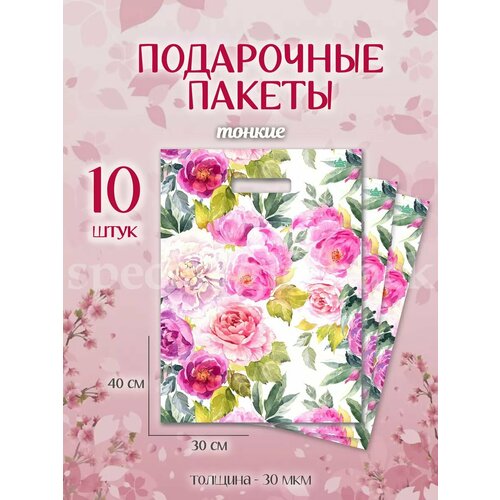 ������ ������ ���������� ������ ����� �������������� ����