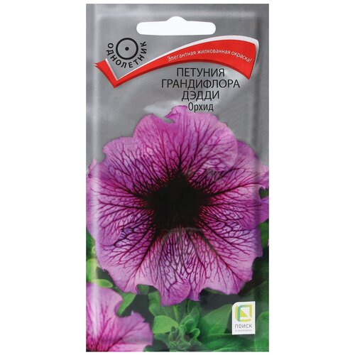 ������ ������ ������ ����� ������� ����������� ����� �����, 10 ��, 2 ��. ����