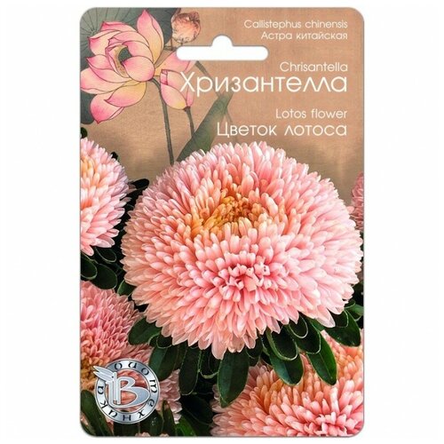 ������ ������ ������ ����� ��������� 