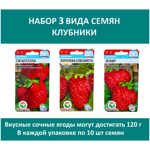 ������ ������ ����� 3 ���� ����� ��������: �������� ���������, ����������, ����� ����