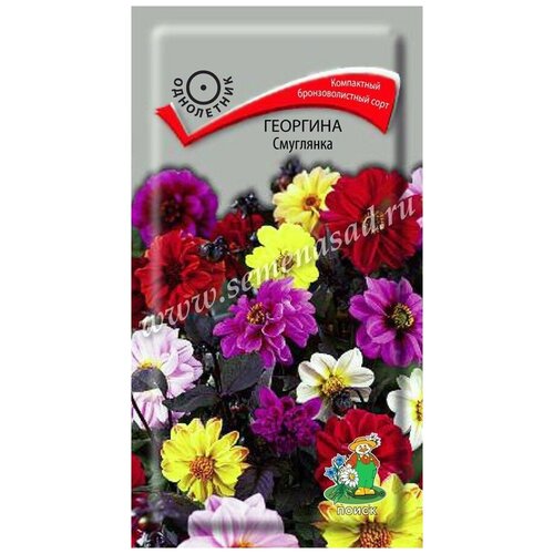 ������ ������ �������� ��������� 730776 ����