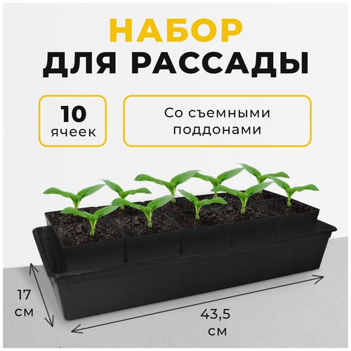 ������ ������ ����� ��� ������� � ��������, 10 ������� �� 0.5 � ����