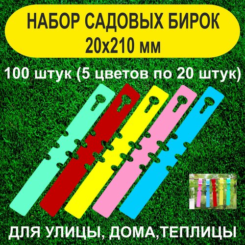 ������ ������ ������� �����-�������� 20x210 ��. (����� �� 5 ������). 100 ���� ����