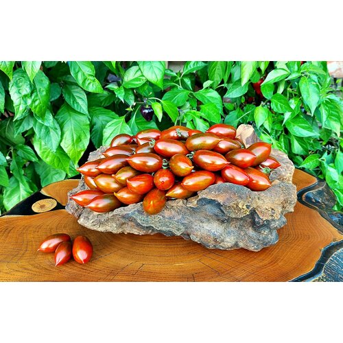 ������ ������ ������ ������ ������ (Emalia) / Seeds And Goods / � �������� zip-lock ��� ���������� 10 ����� ����