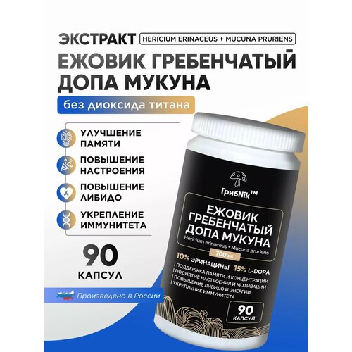 ������ ������ ������ ����������� + �������� ����� 90 �� ����