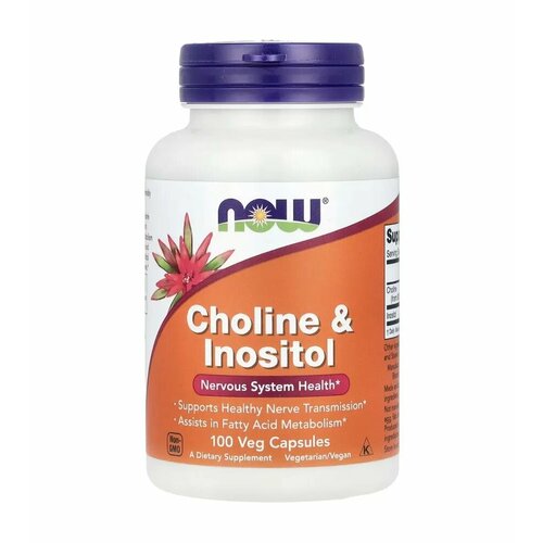 ������ ������ NOW Choline & Inositol ��� ����� � ��������, 500mg 100 Veg Caps ����