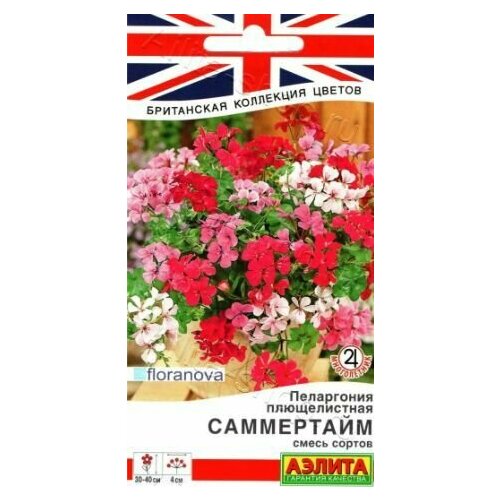 ������ ������ ���������� ������������ ���������� ( 1 �������� ) , ����� ������� ����