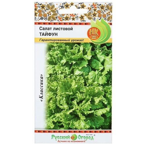 ������ ������ ������. ����� �������� 