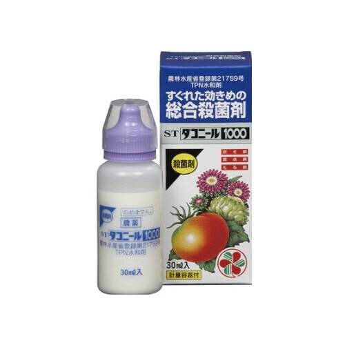 ������ ������ ������� ������ 30 �� ����