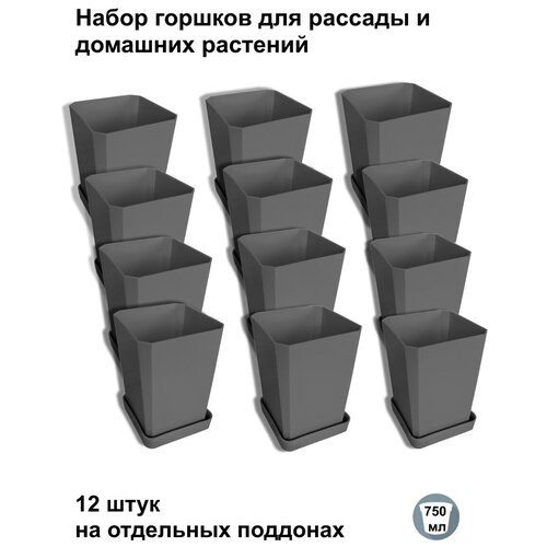 ������ ������ ������ ��� ������� � ������, 12 ���� �� ��������� ��������, �������� ����