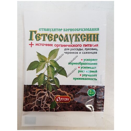 ������ ������ ��������� ����� ����� ������������ ������� ����