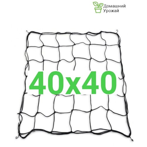 ������ ������ ����� ����� 40�40�� �������� ������ ����� ��� ������ ����