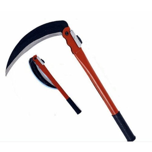 ������ ������ ���� �������/��������/���� ����