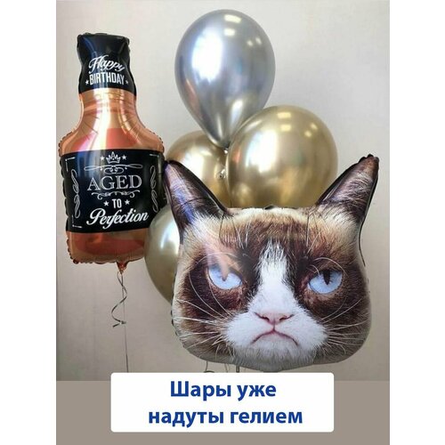 ������ ������ ����� ��������� �����, ������ ����� � ������ �� ���� �������� ����