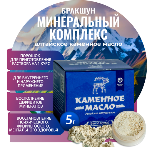 ������ ������ �������� ����� ��������� ����������� (����� ����) 5 �� ����