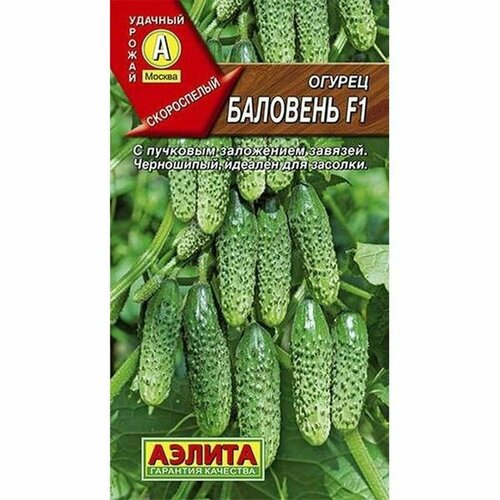 ������ ������ ������ ������ �������� F1 ��. (�����������) (������) 10�� ����