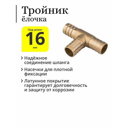 ������ ������ ������� �������� ������ ��� �������, 16 �� ����