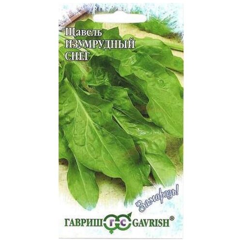 ������ ������ ������� ������ 