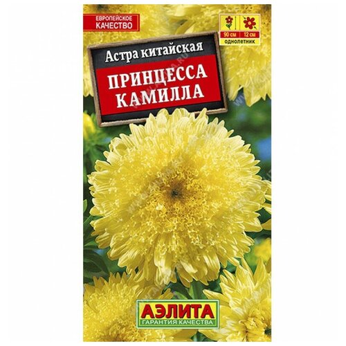 ������ ������ ����� 