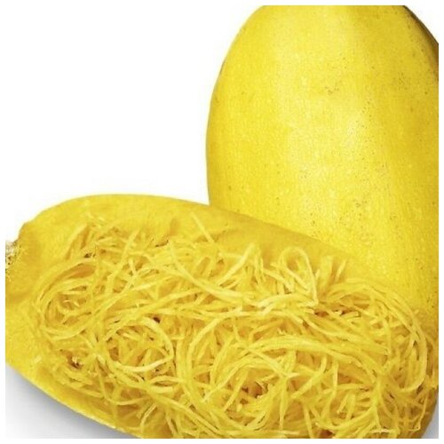 ������ ������ ������ ������ ������� ������ 10 ��. ����