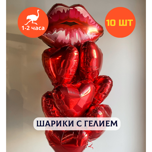 ������ ������ ������ ��������� �� ���� ��������, ��������� ���� � ������, ���� � ���� ��������, ����� ����� ��� ������� 