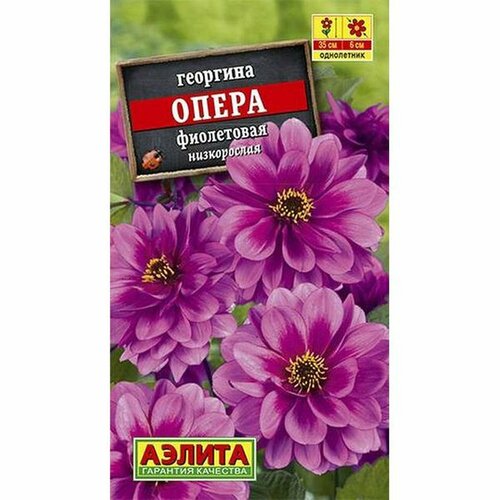 ������ ������ ������ �������� ����� ���������� (����������) (������) 7�� ����