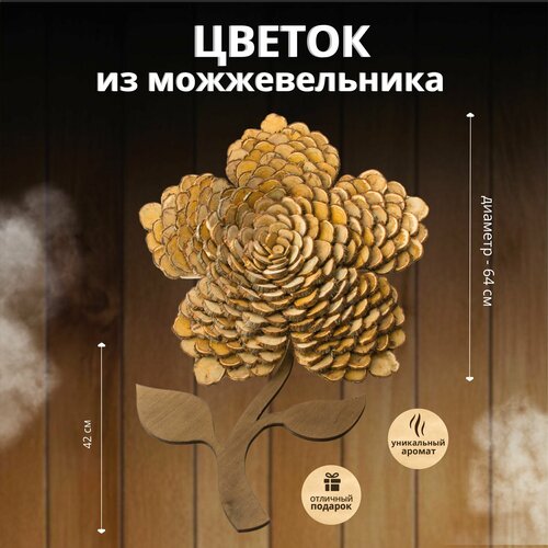 ������ ������ ����� �� ������������� 