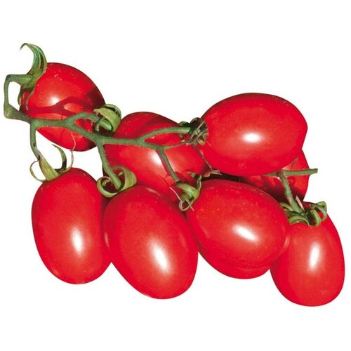 ������ ������ ������ ������ ����� ����� ������� ������ 10 ��. ����