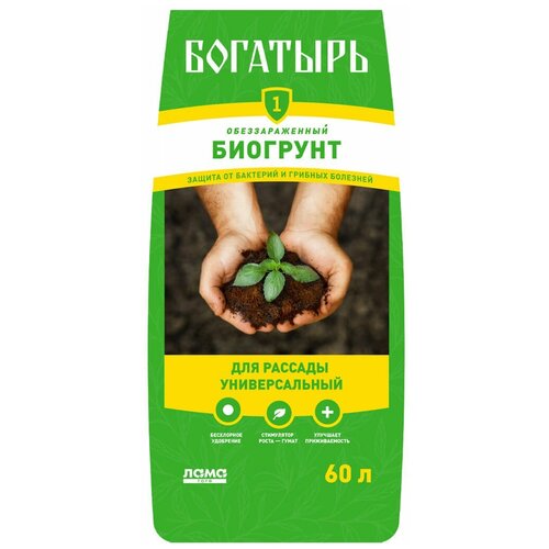 ������ ������ ����� �������� ��� ������� ������������� 60� ����