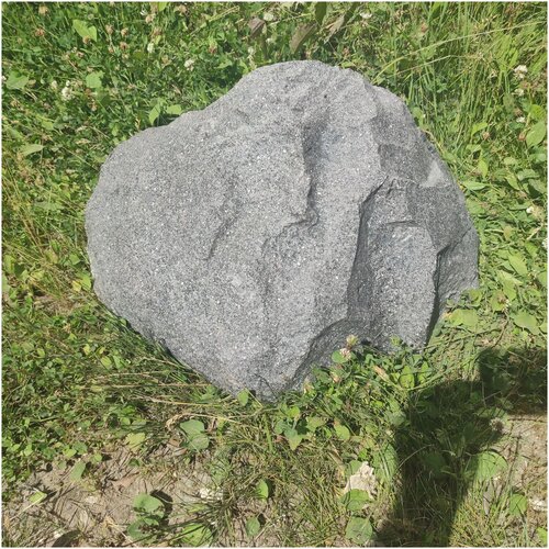 ������ ������ ������������ ������ ��� ���� ����