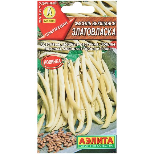 ������ ������ ������. ������ �������� 