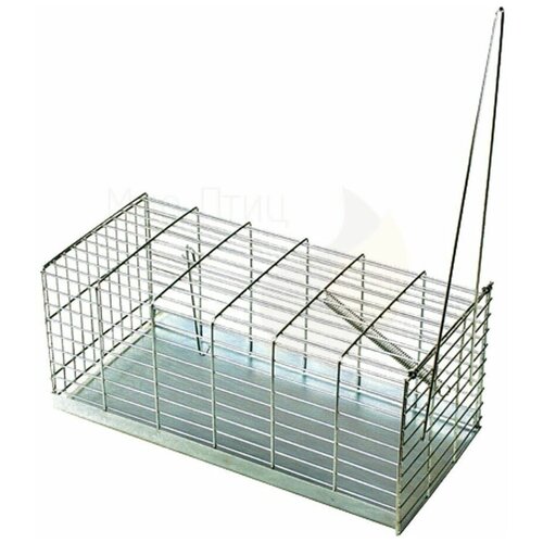 ������ ������ ���������-��������� Novital 20 �� (0043A0000) ����