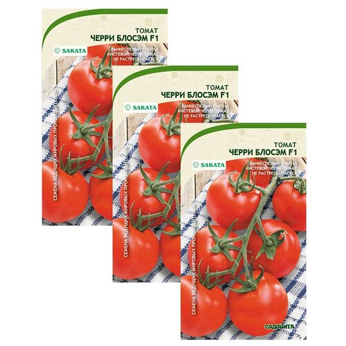 ������ ������ ������ ����� ����� ������ F1 5�� �������� (3 ������) ����