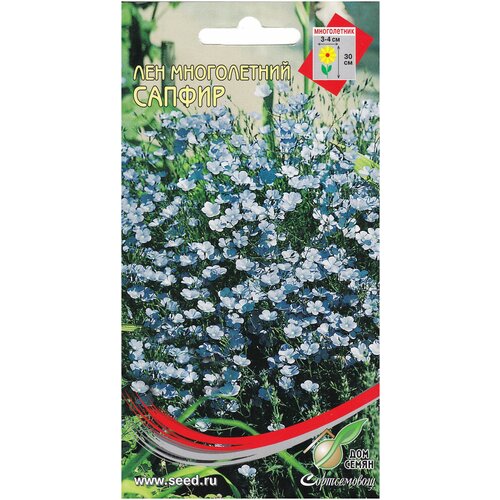 ������ ������ ��� ������, �����������, 45 ����� ����