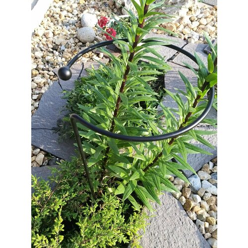 ������ ������ ����� ������� ��� �������� ������������� ������ ������ 25�� ������ 80 �� ����