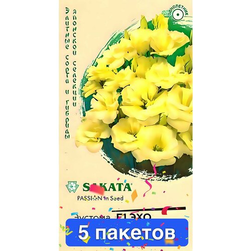 ������ ������ ����� ������� ��� ������ F1 5 ������� ����