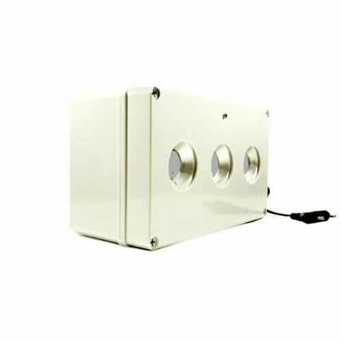 ������ ������ ������������ ������������ �������� ������ 2000 PRO � ��������� ��������. ������ 2000 ��. �. ����