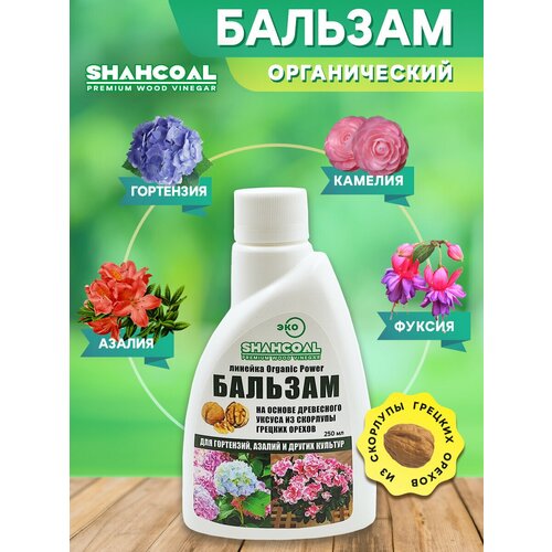 ������ ������ ������� ��� �������� �������� (���������, ������, ������, �������) ������������ ��������� ���������� ����