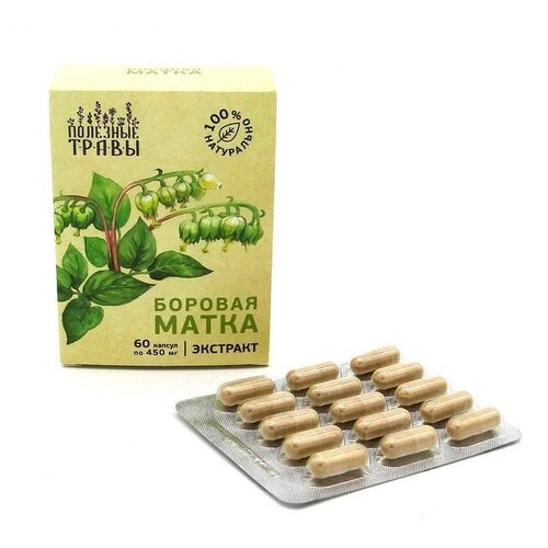 ������ ������ �������� ����� � ������� �������� ����� ������� �����, 6 �, 60 ��. ����