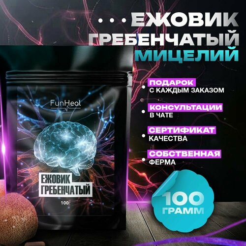 ������ ������ ������ ����������� ������� � ������� 100 ����� ����