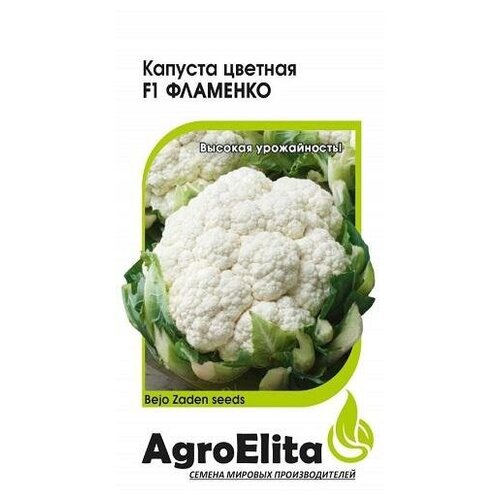 ������ ������ ������. ������� ������� 