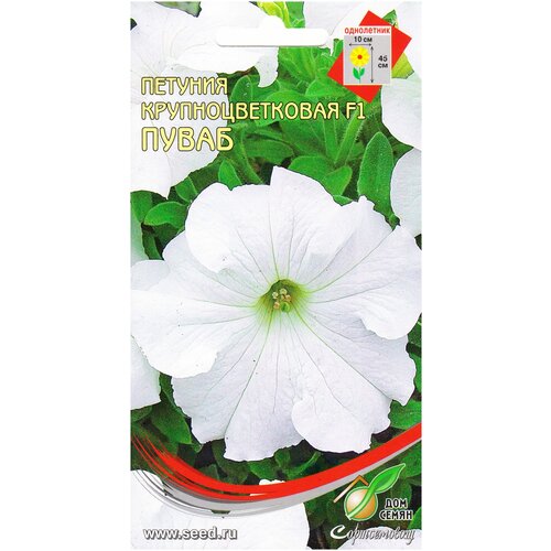 ������ ������ ������� ����������� ��������������� �����, 30 ����� ����