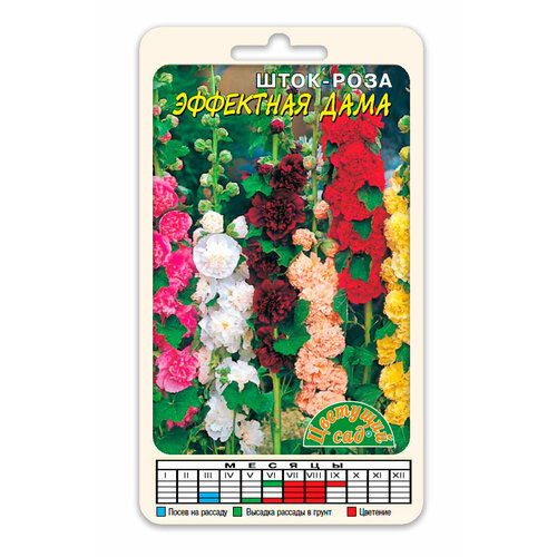 ������ ������ ����-���� ������������� ��������� ���� ����� ������� (������ �������� ���, 0,2 � ����� � ��������) ����