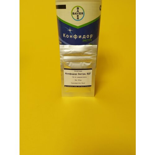 ������ ������ ���������� �������� ������ 10 �� ����